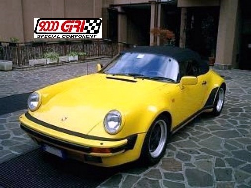 speedster_ant_1311330996-505x3781
