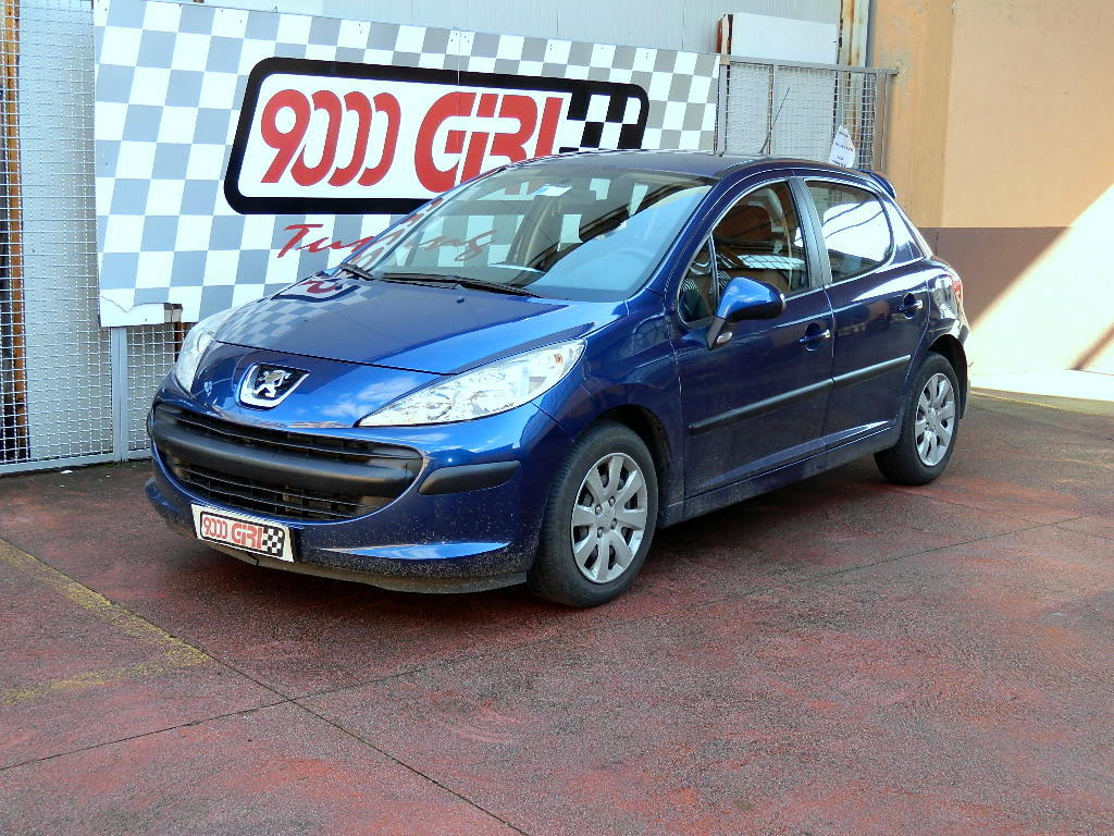 DSCN2605