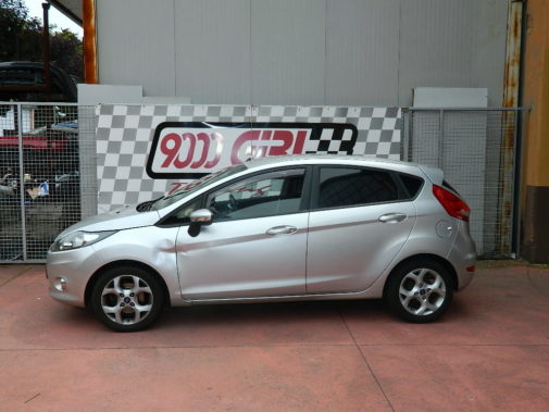 Ford Fiesta 1.4 Tdci powered by 9000 Giri