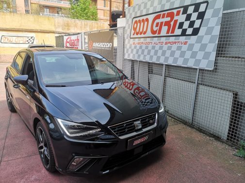 Terminale di scarico sportivo Seat Ibiza Fr